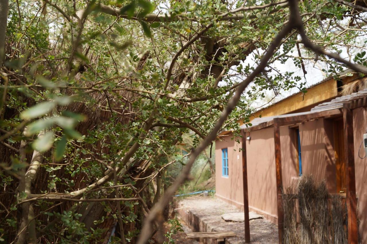 Atacama Lodge Rukazen Rustico سان بيدرو دي أتاكاما المظهر الخارجي الصورة